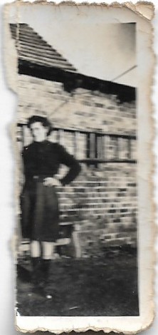 29